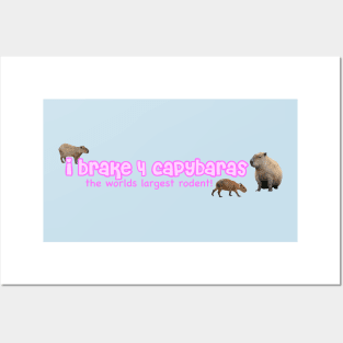I Brake for Capybaras Posters and Art